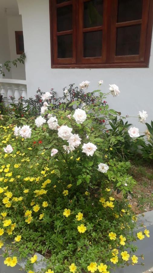 Ogumka, Self Catering , Beoliere, Mahe Hotel Victoria Exterior foto