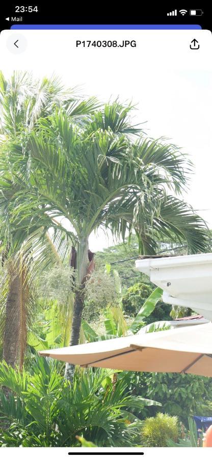 Ogumka, Self Catering , Beoliere, Mahe Hotel Victoria Exterior foto