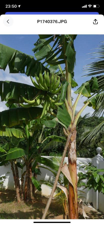 Ogumka, Self Catering , Beoliere, Mahe Hotel Victoria Exterior foto