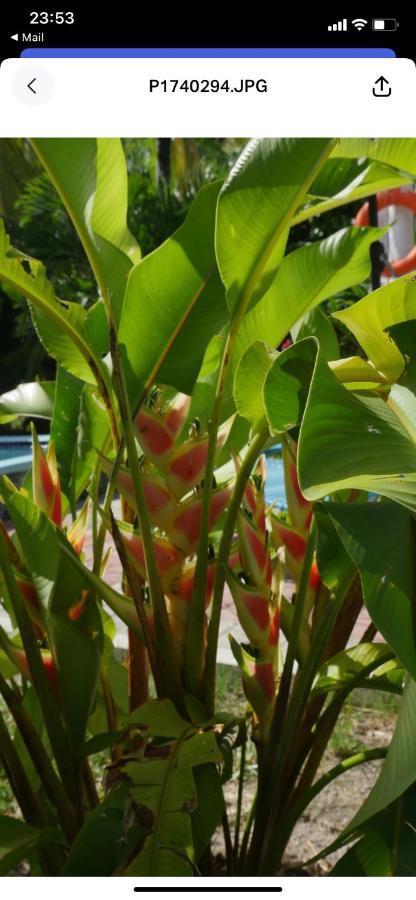 Ogumka, Self Catering , Beoliere, Mahe Hotel Victoria Exterior foto