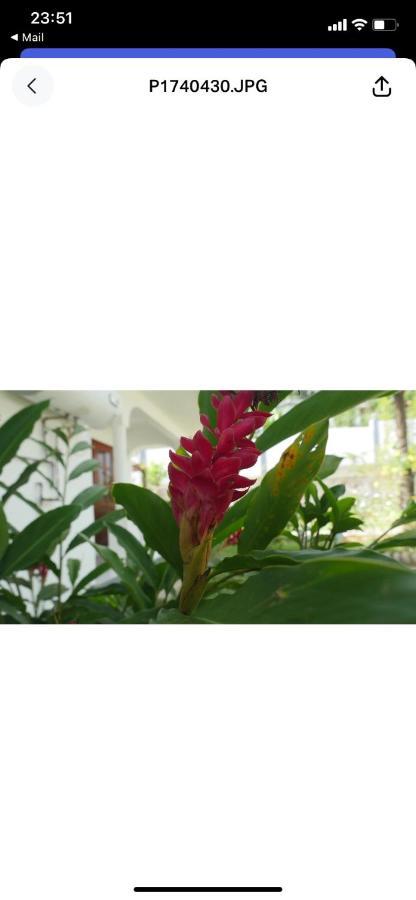 Ogumka, Self Catering , Beoliere, Mahe Hotel Victoria Exterior foto